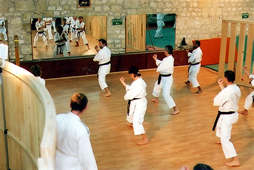 Cours  Karate Sochin