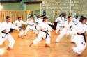 Cours de Karate